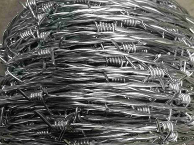 Gill net