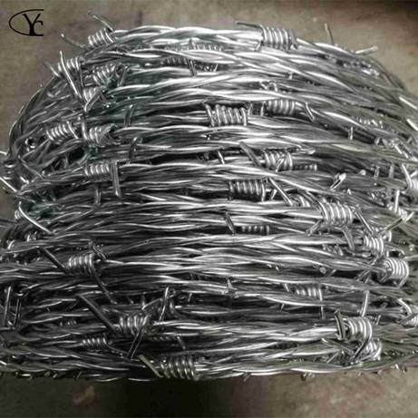 Gill net