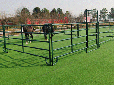 Portable Metal Horse Fence Panels