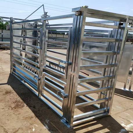 Each cattle fence panel can be connected to each other to form a closed environment  Cow restraints: