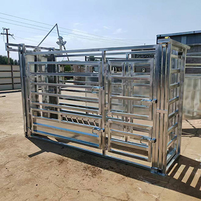 The Advantages of Metal Cattle and Horse Fences