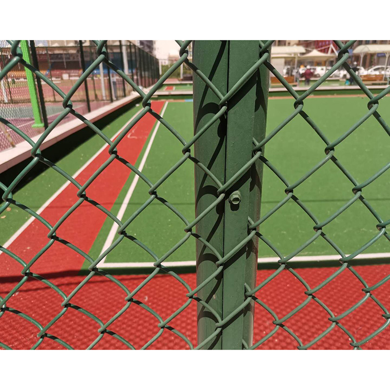 Plastic coated green chain link fence