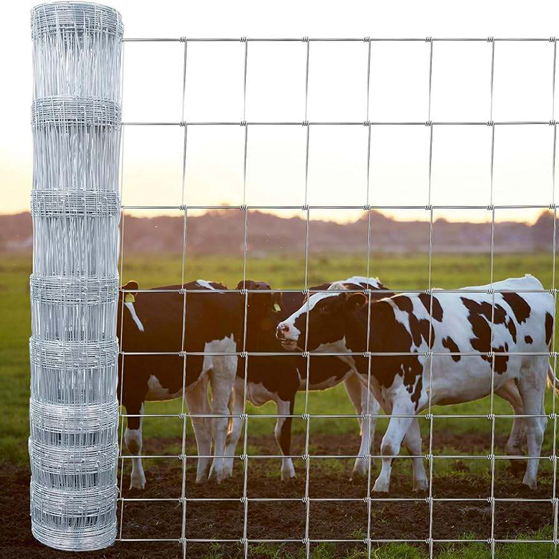 Cattle wire fences are currently in production