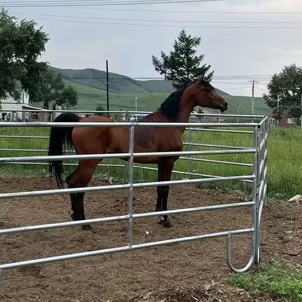 Custom horse fences are being welded and produced