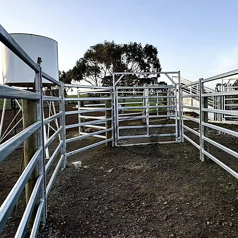 Diagram of cattle pen board usage